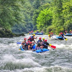 0-02-05-1d49bb1af35d6c30220a0d5ecdf9ef443686926bf612bec0203e30cccc02e1cb_2270bc2cea4